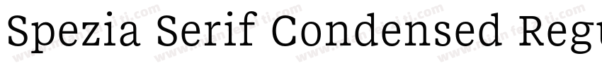 Spezia Serif Condensed Regular D字体转换